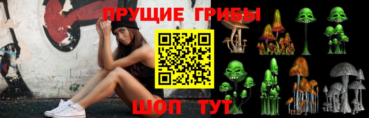 Галлюциногенные грибы Psilocybine cubensis Кропоткин